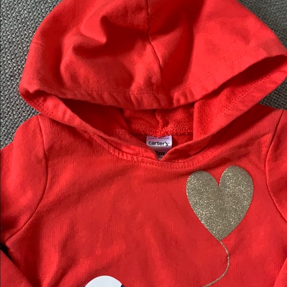 Carter's two piece hoodie and matching pants - Picture 2 of 8